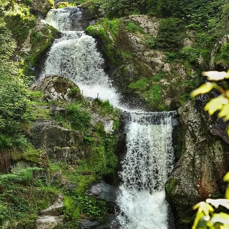 3 Near Triberg Waterfalls *