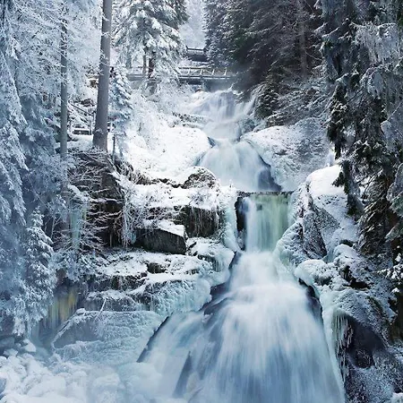 Διαμέρισμα 3 Near Triberg Waterfalls
